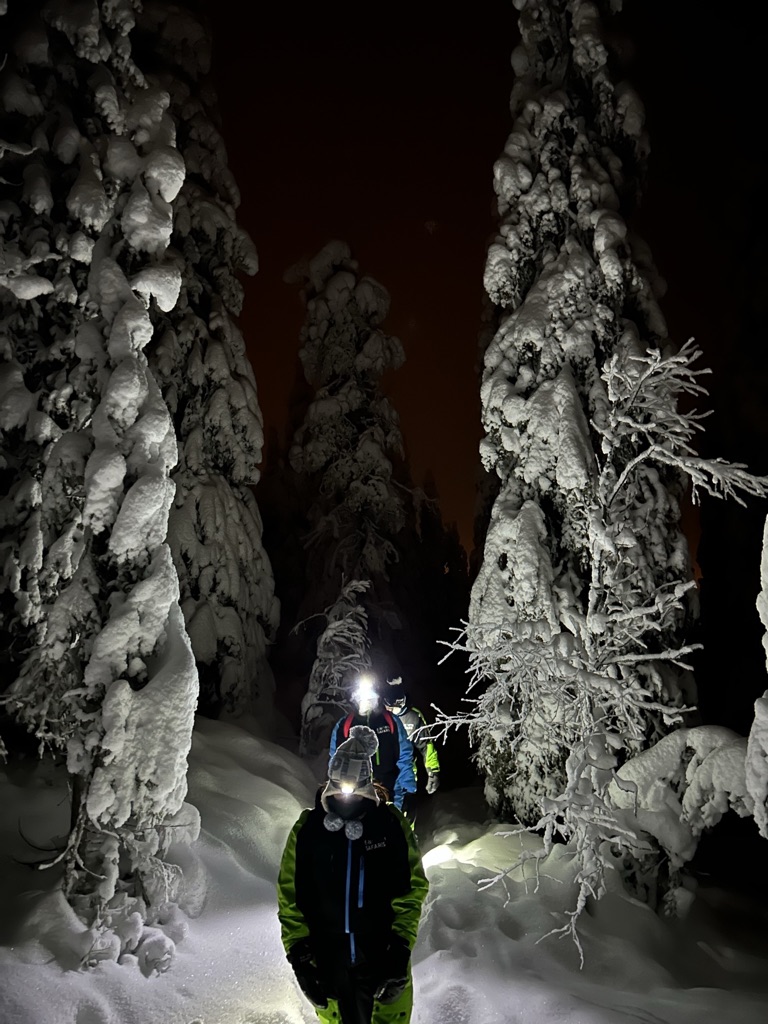 Trekking nocturno con Cena en Kota