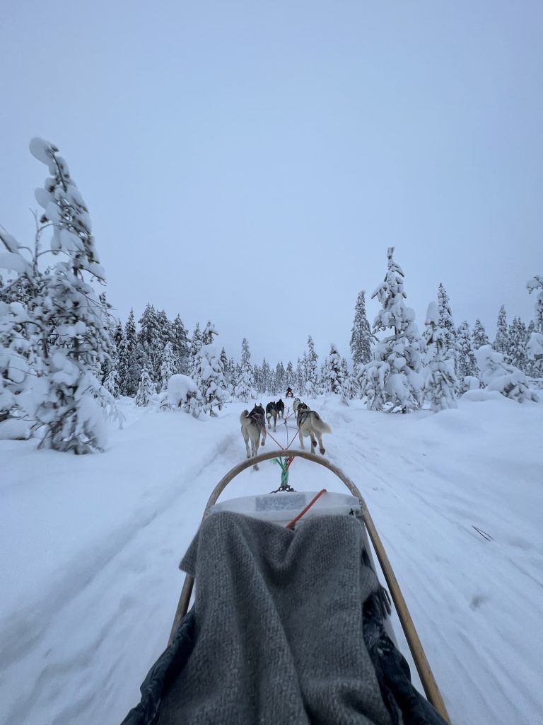 Granja de huskies en Rovaniemi: Descubre la experiencia única de trineo y aventura ártica