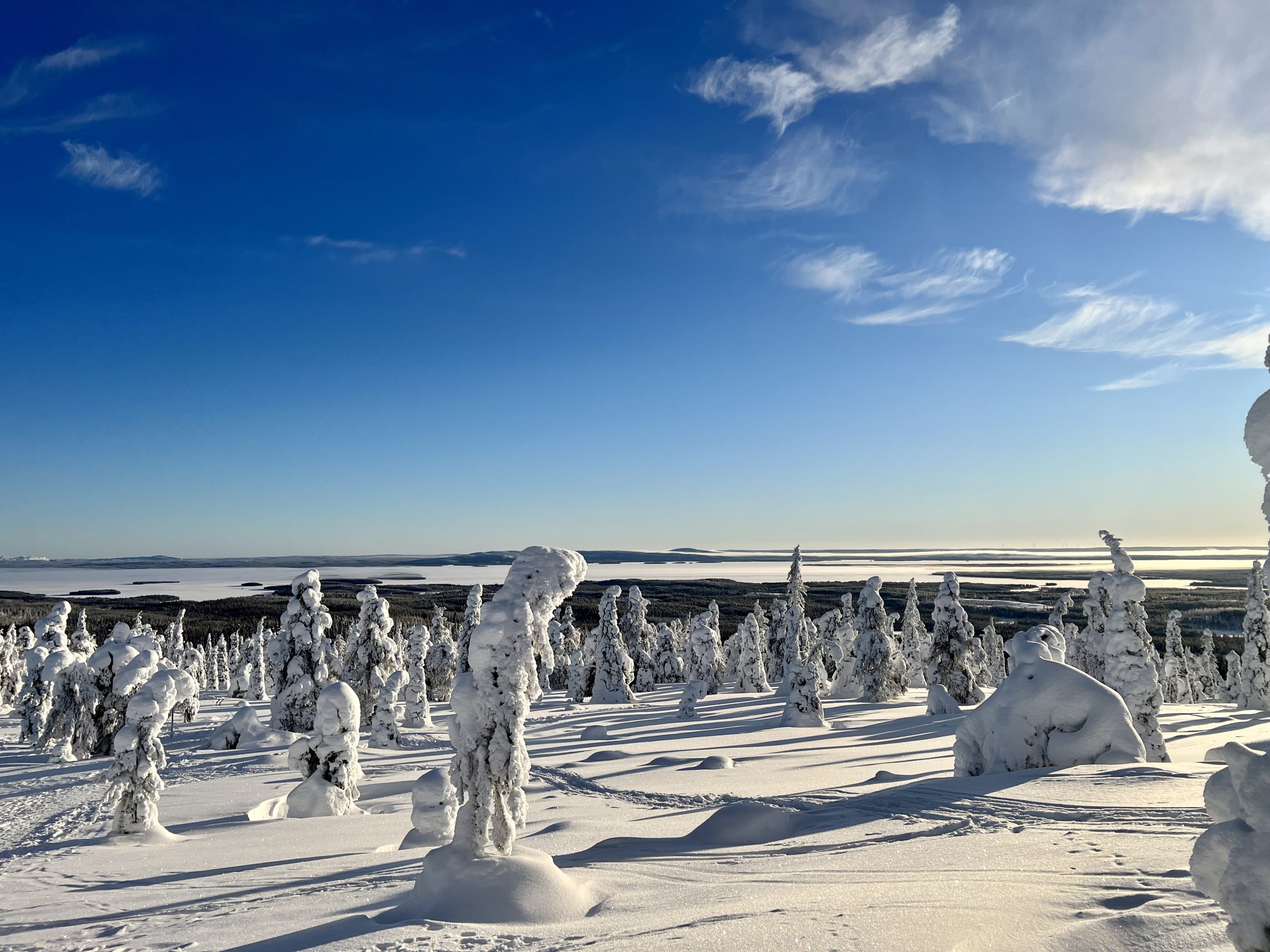 Visita Los Parques Nacionales De Risitunturi Y Oulanka En Laponia