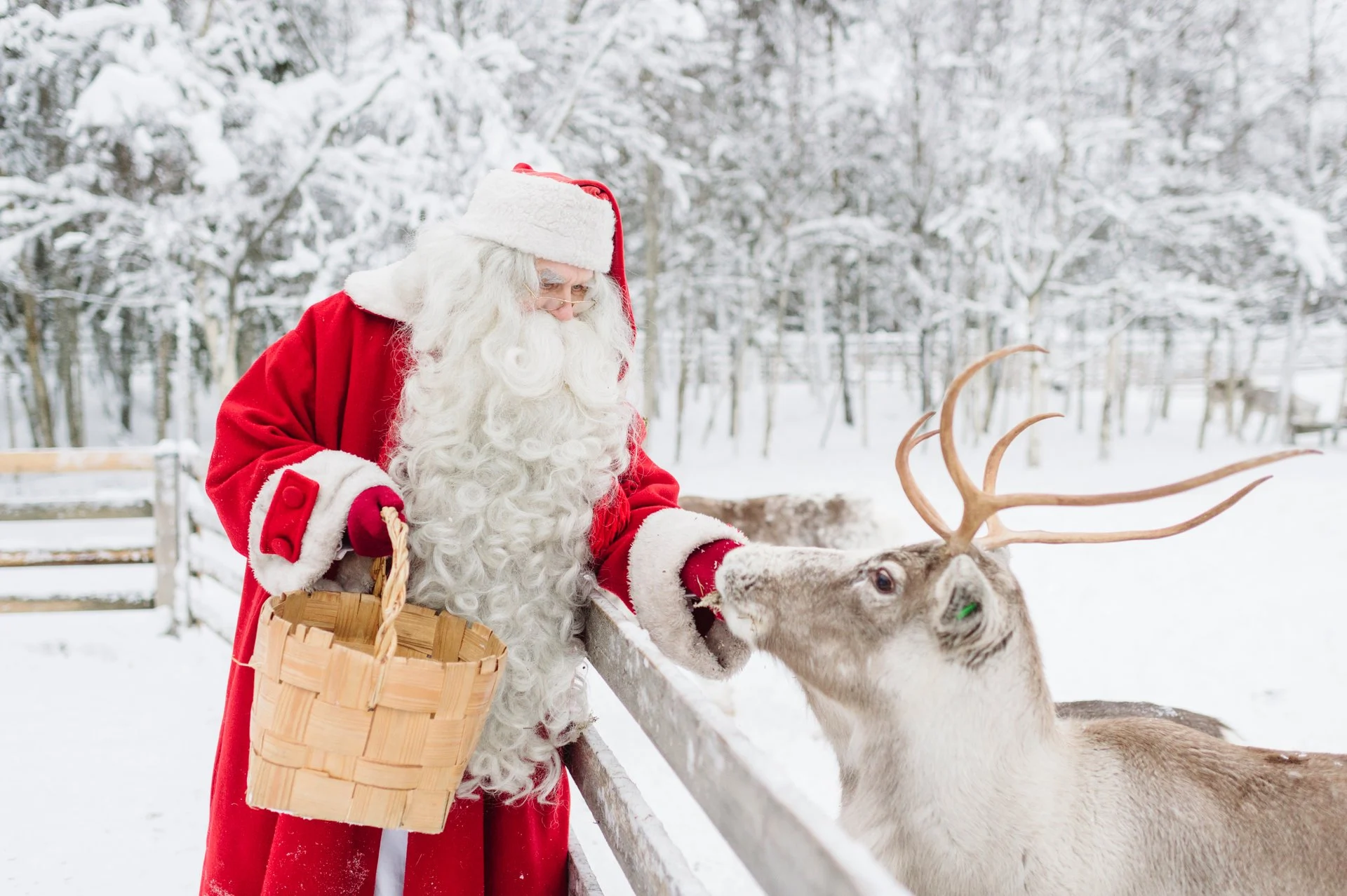 Descubre el encanto mágico del Puente de Diciembre en Laponia: ¡Vive una experiencia inolvidable en el hogar de Papá Noel!